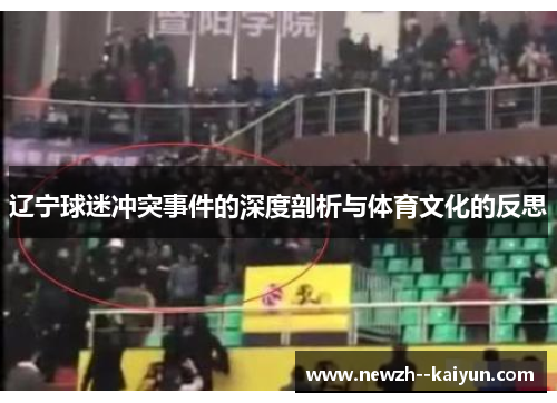 辽宁球迷冲突事件的深度剖析与体育文化的反思